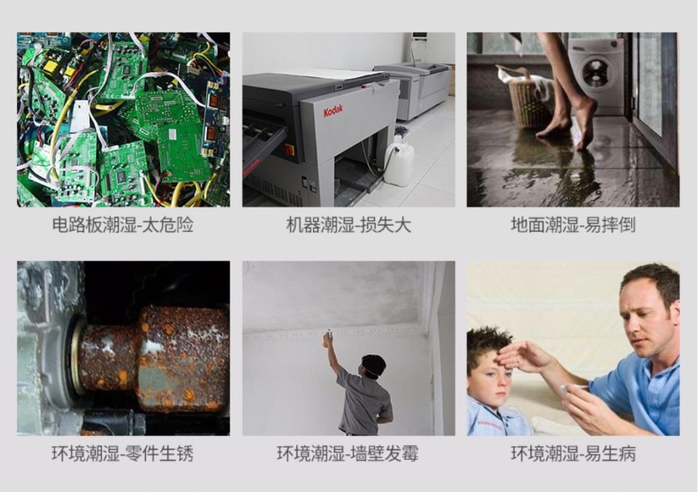 鐵皮石斛專用孚瑞德除濕機(jī)F30S