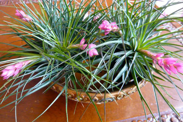 四川地下室除濕機工程施工 制衣廠除濕機設(shè)計 服務(wù)及時