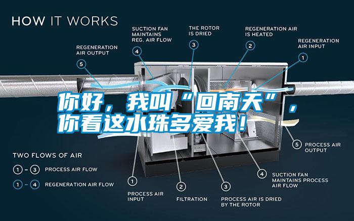 你好，我叫“回南天”，你看這水珠多愛我！