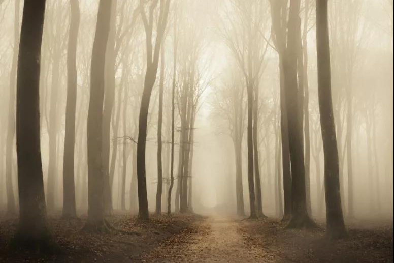 廠家分享該怎么保養(yǎng)轉(zhuǎn)輪除濕機(jī)設(shè)備！