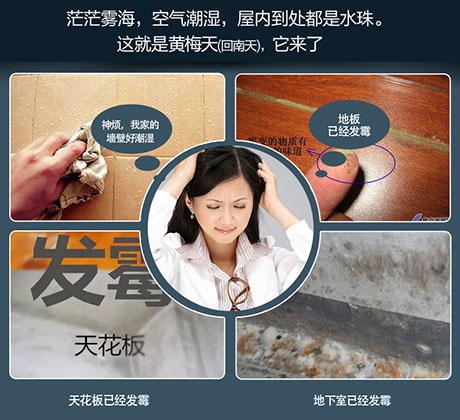 家用除濕機品牌十大排名？家用除濕機什么品牌最好