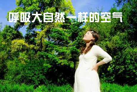 食用菌加濕機，食用菌工廠化種植加濕設(shè)備