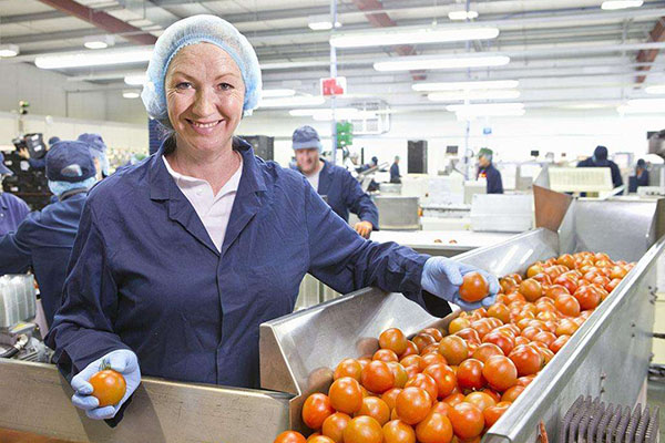 中山傳感器恒溫恒濕柜供應(報名吧，2023已更新)