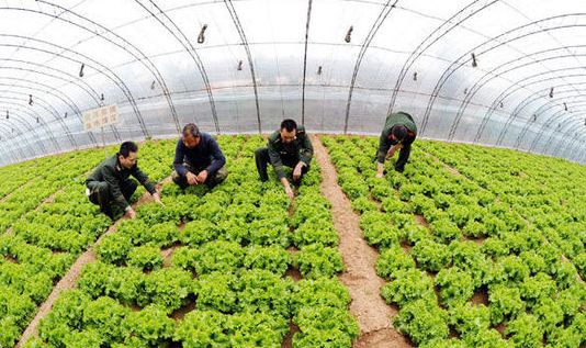 家用除濕機(jī)為什么沒有轉(zhuǎn)輪式的