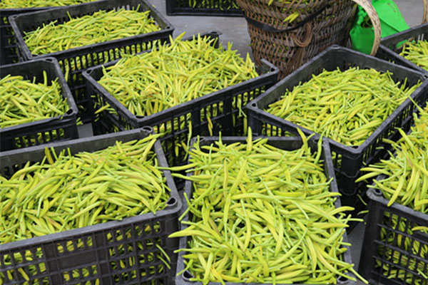 大同工業(yè)除濕機(jī)哪家好今日價(jià)格一覽表(2023更新)