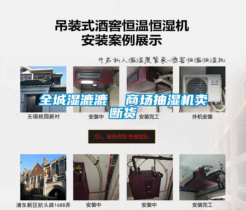 全城濕漉漉  商場抽濕機(jī)賣斷貨
