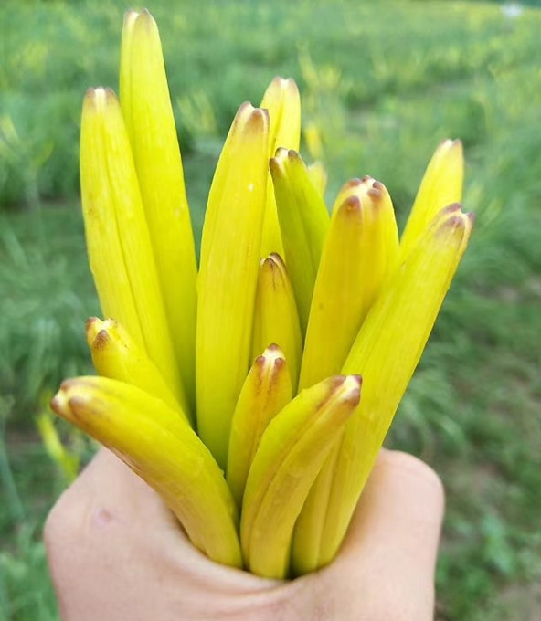 湖州單向流新風系統(tǒng)安裝公司(【行情】2023已更新)