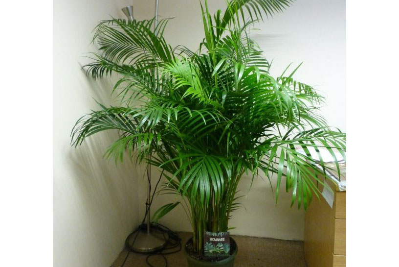 電力用除濕機(jī)的類(lèi)型比較