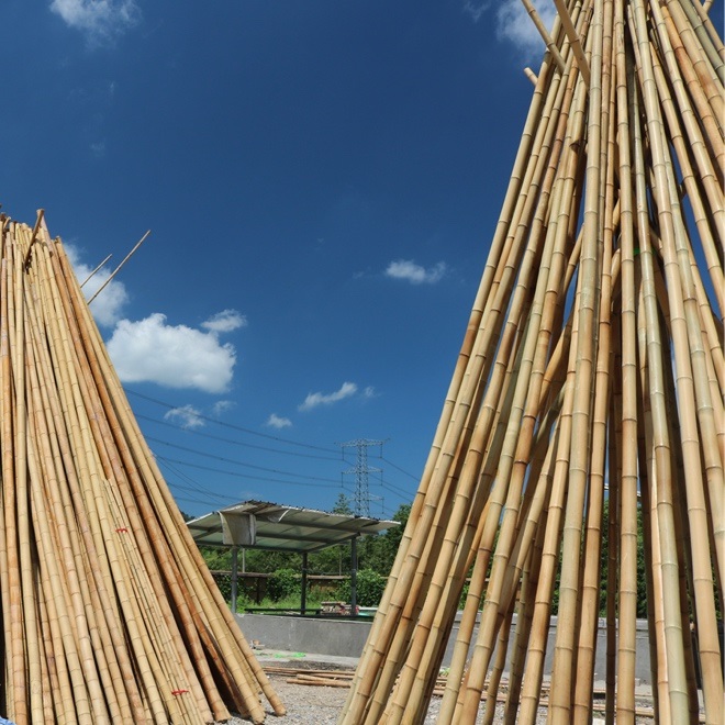 除濕干燥將成為物品干燥新主流