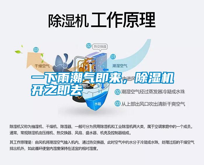 一下雨潮氣即來，除濕機(jī)開之即去