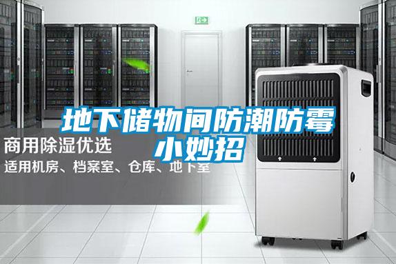 地下儲(chǔ)物間防潮防霉小妙招