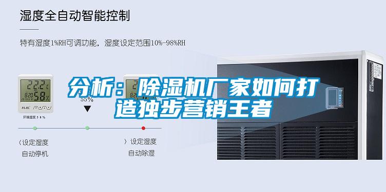 分析：除濕機(jī)廠家如何打造獨(dú)步營(yíng)銷(xiāo)王者