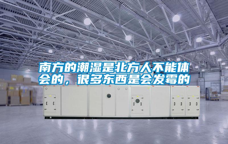 南方的潮濕是北方人不能體會(huì)的，很多東西是會(huì)發(fā)霉的