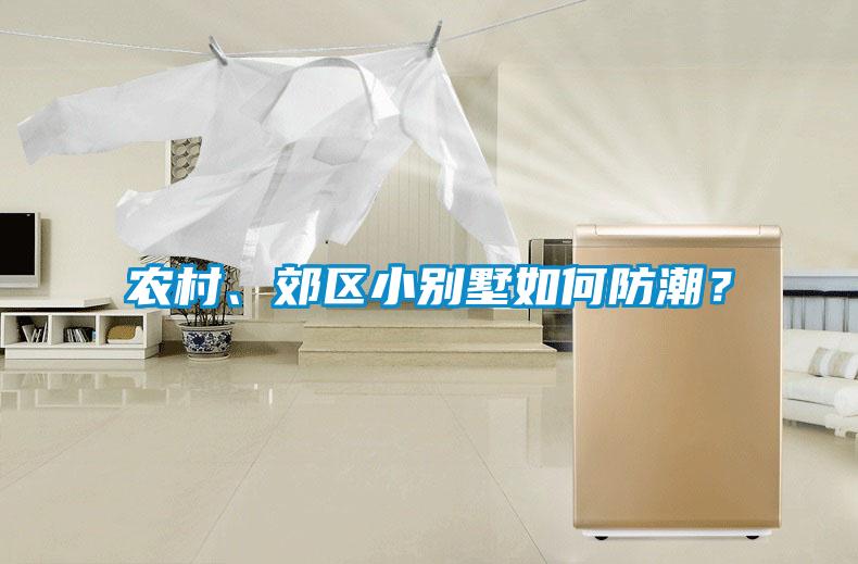 農(nóng)村、郊區(qū)小別墅如何防潮？