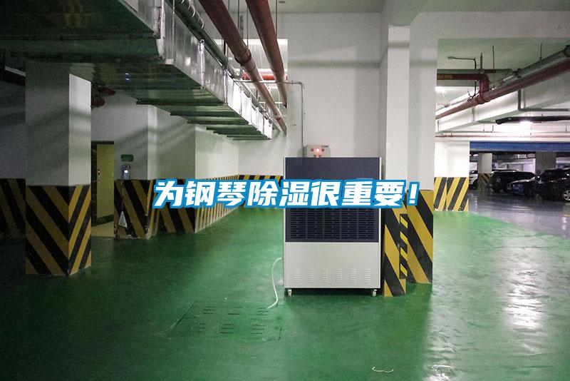 為鋼琴除濕很重要！