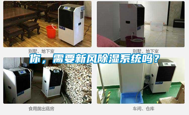 你，需要新風(fēng)除濕系統(tǒng)嗎？