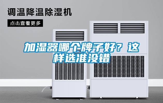 加濕器哪個牌子好？這樣選準沒錯