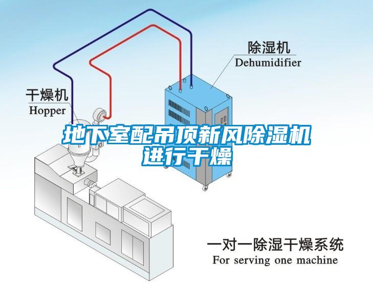 地下室配吊頂新風(fēng)除濕機(jī)進(jìn)行干燥