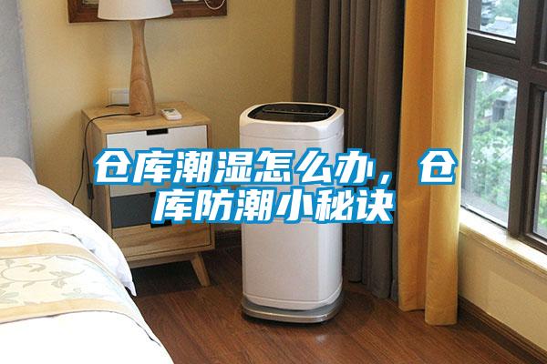 倉庫潮濕怎么辦，倉庫防潮小秘訣