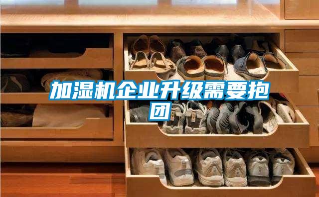 加濕機(jī)企業(yè)升級(jí)需要抱團(tuán)