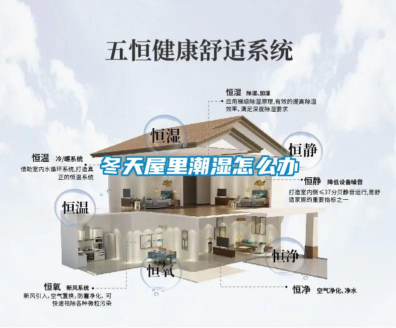 冬天屋里潮濕怎么辦