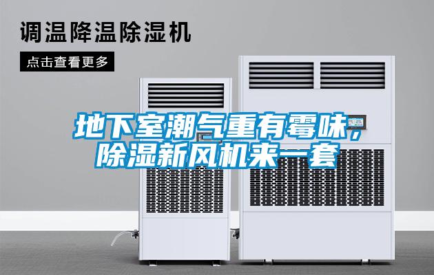 地下室潮氣重有霉味，除濕新風機來一套