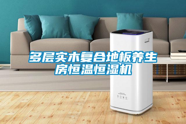 多層實木復(fù)合地板養(yǎng)生房恒溫恒濕機(jī)