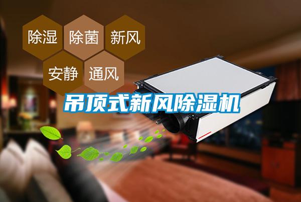 吊頂式新風(fēng)除濕機(jī)