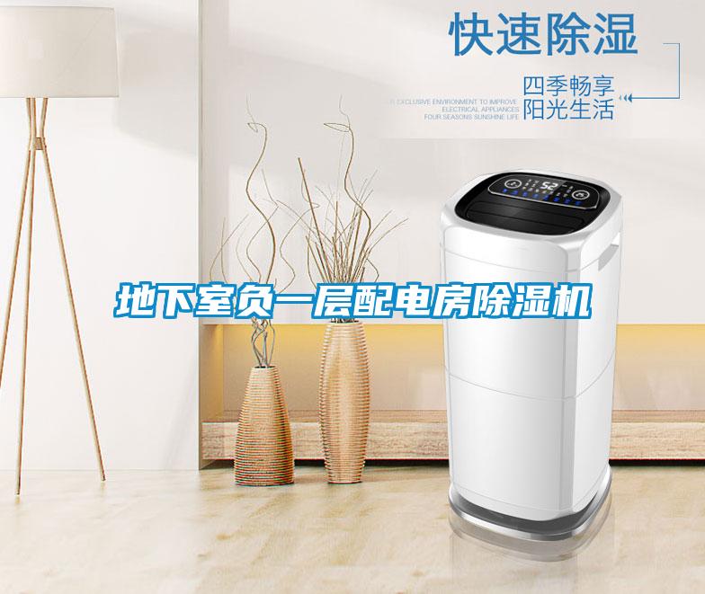 地下室負(fù)一層配電房除濕機(jī)