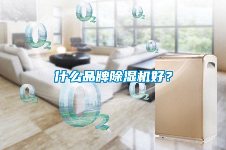 什么品牌除濕機(jī)好？