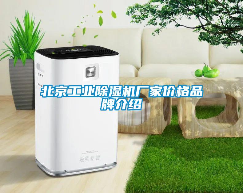 北京工業(yè)除濕機(jī)廠(chǎng)家價(jià)格品牌介紹