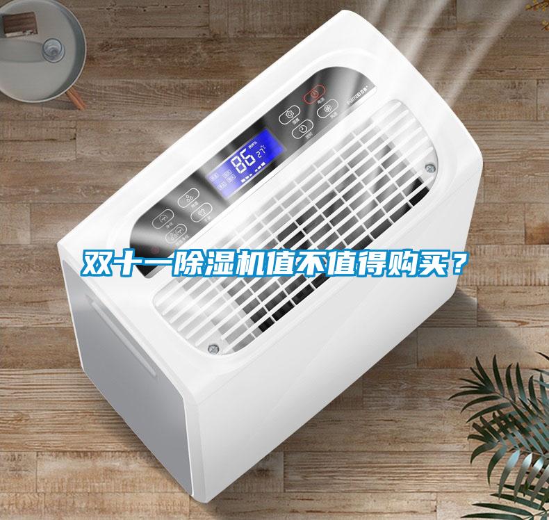雙十一除濕機值不值得購買？