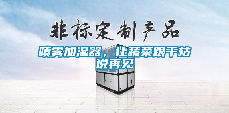 噴霧加濕器，讓蔬菜跟干枯說再見