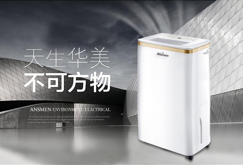升溫烘干型除濕機(jī)380L／D