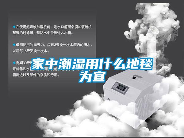 家中潮濕用什么地毯為宜