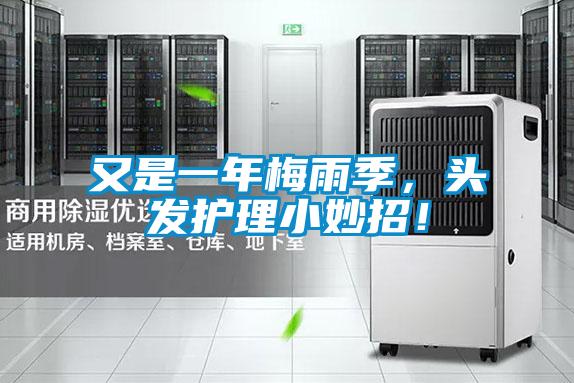 又是一年梅雨季，頭發(fā)護(hù)理小妙招！