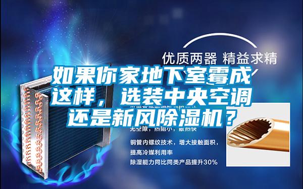 如果你家地下室霉成這樣，選裝中央空調(diào)還是新風(fēng)除濕機(jī)？