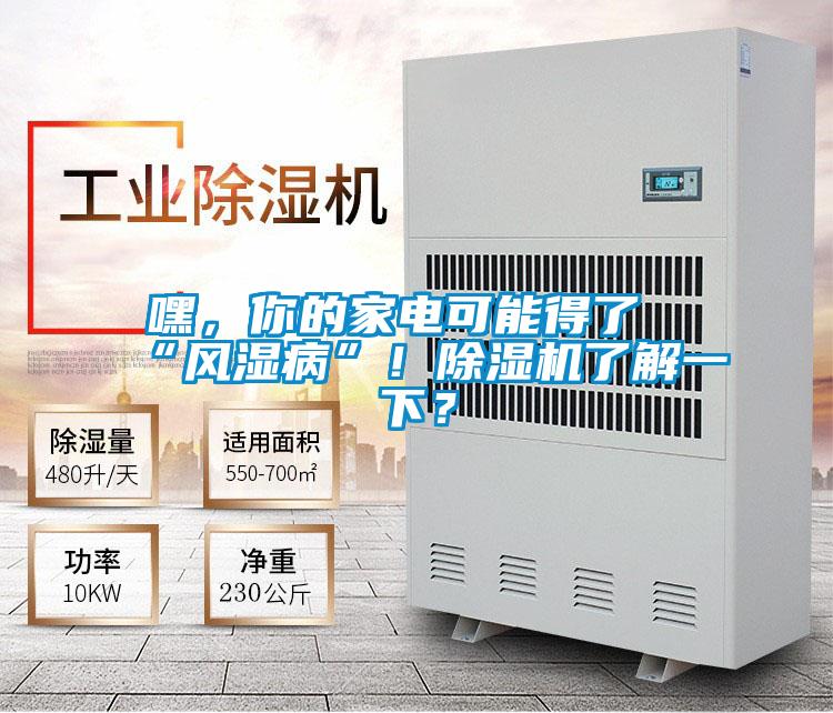 嘿，你的家電可能得了“風濕病”！除濕機了解一下？