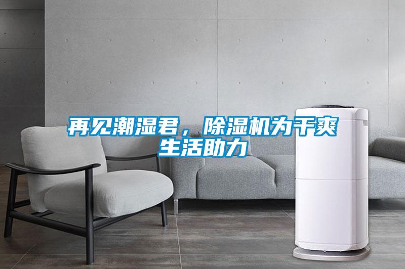 再見潮濕君，除濕機(jī)為干爽生活助力