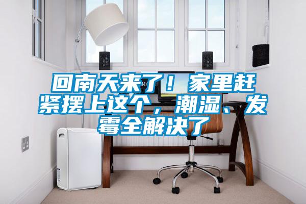回南天來(lái)了！家里趕緊擺上這個(gè)，潮濕、發(fā)霉全解決了