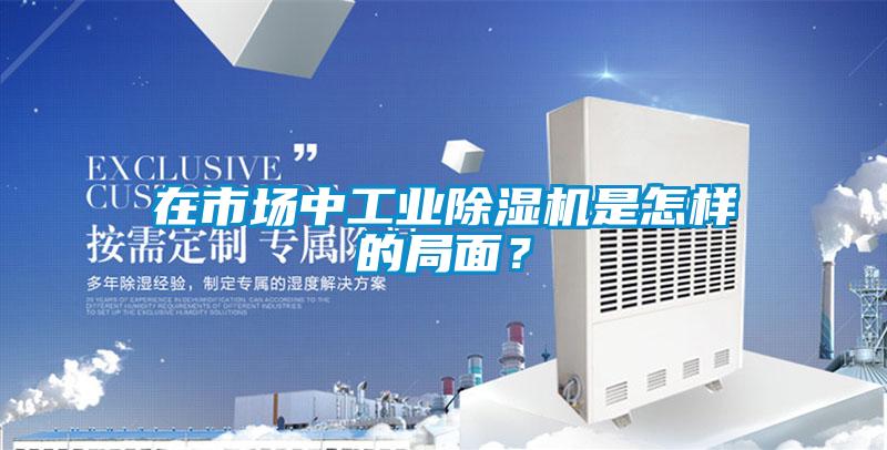 在市場中工業(yè)除濕機(jī)是怎樣的局面？