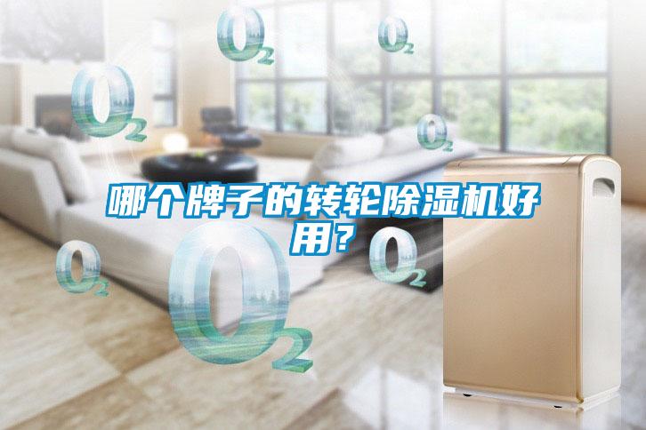 哪個牌子的轉(zhuǎn)輪除濕機好用？