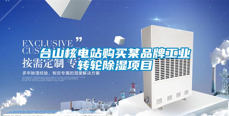 臺山核電站購買某品牌工業(yè)轉(zhuǎn)輪除濕項目