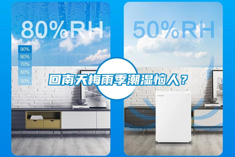 回南天梅雨季潮濕惱人？
