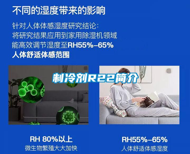 制冷劑R22簡(jiǎn)介