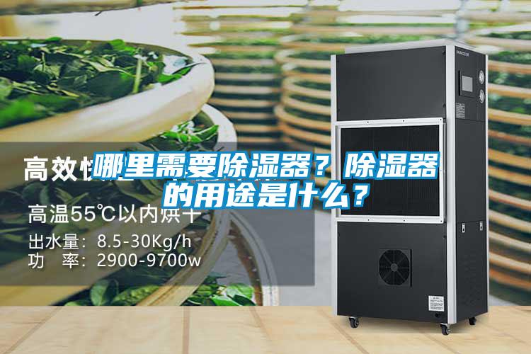 哪里需要除濕器？除濕器的用途是什么？