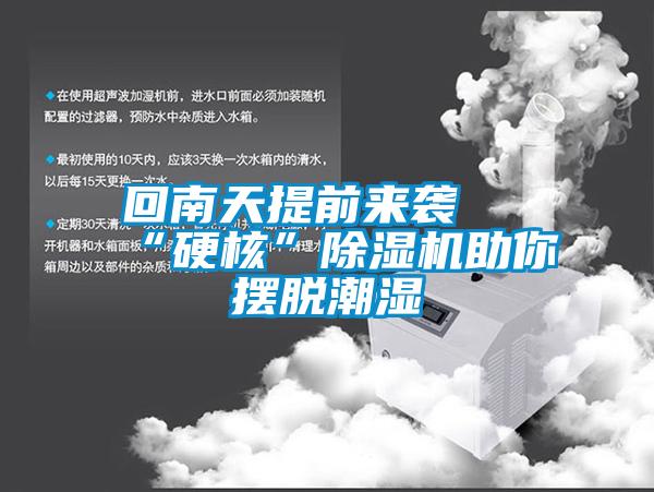 回南天提前來襲 “硬核”除濕機(jī)助你擺脫潮濕