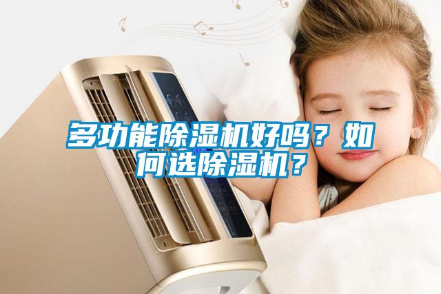 多功能除濕機好嗎？如何選除濕機？
