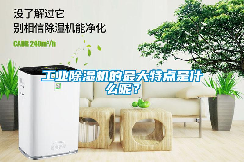 工業(yè)除濕機(jī)的最大特點(diǎn)是什么呢？