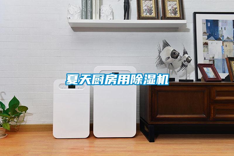 夏天廚房用除濕機